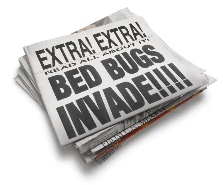 Bed bugs invade